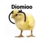 divertidos 