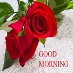good morning