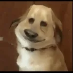 Querida María☕️ feliz jueves💗💗