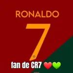 Bicho 