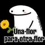 Flork 🔴 Amor