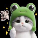 青蛙喵喵♡實用日常