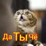 Прости меня!