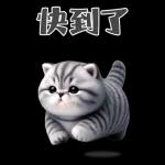 灰色虎斑小奶貓大字大貼圖