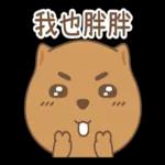 Q狗勾嗚福   龍年有福