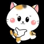 Cats! For reply