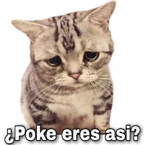 pcvlnqy