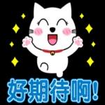 阿喵很日常的聊天貼圖