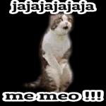 Oye eres el Amor de mi Vida, Te amo Corazón