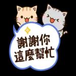 謝謝你這麼幫忙！愛你！