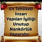 aynur