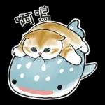 鯊魚貓咪 2