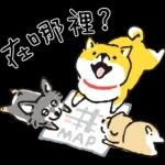 柴犬可愛使用貼圖合集