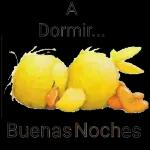hola y adios
