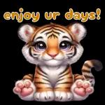 Cute raccoon sticker