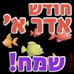 אדר