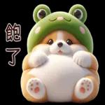 柯基蛙好可愛！