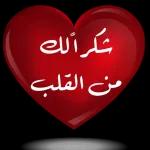 شكراً حبي