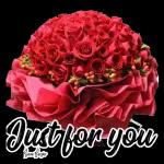 I love you
