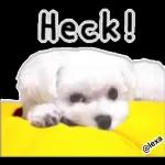 Hug me!🤗Enjoy your day!🥳