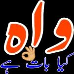 Zohaib