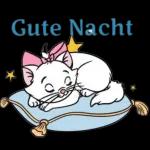 Marie kommt！！！