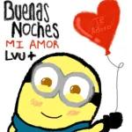 Amor