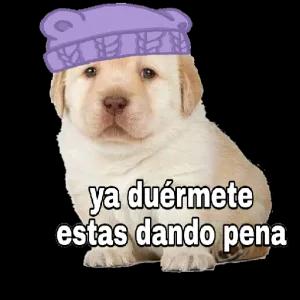 1f5zxdh