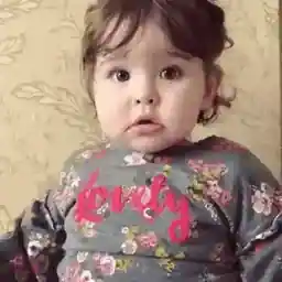 01.11صباح الخير