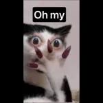 What the hell is that?