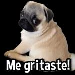 Alexa dile q no mame