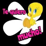 piolin
