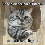No te estreses por el futuro... con suerte ni llegas.