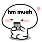 niys sticker