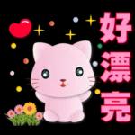 可愛粉粉貓- 常用語
