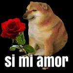 01.05amor pack