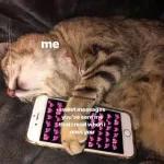 Meow
                            ƐℓεѕιƧ 🍪