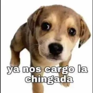 ya nos cargo la chingada - getsticker.com