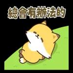 小狸貓與小狐狸