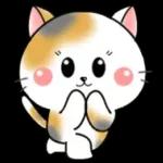 Cats! For reply