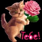 Спокойной ночи!