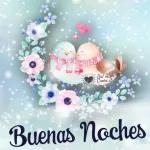 buenas noches🌙