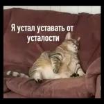 спокойной ночи