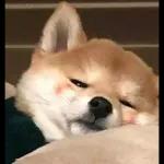 Qué se sentirá ser feo?