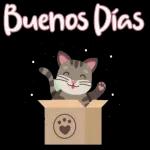 COMO DICES QUE DIJISTES