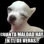 Estoy rodeado de enfermos