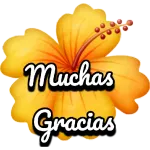Feliz cumpleaños