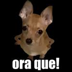 ¿Me quieres mucho o poquito?