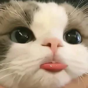 getsticker.com