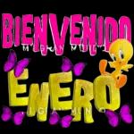 nuevo año